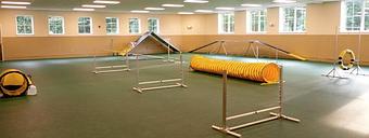 Interior - The Barking Dog, in Derry, NH Pet Boarding & Grooming