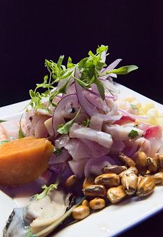 Interior: Cebiche mixto - The Fish House in Miami, FL Seafood Restaurants