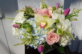 Interior - The Flower Shop in Charlottesville, VA Florists