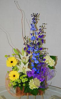 Interior - The Flower Shop in Charlottesville, VA Florists