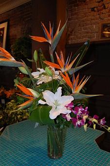 Interior - The Flower Shop in Charlottesville, VA Florists