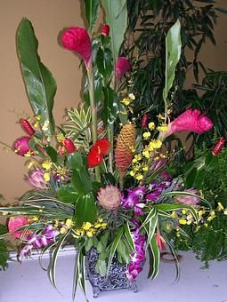 Interior - The Flower Shop in Charlottesville, VA Florists