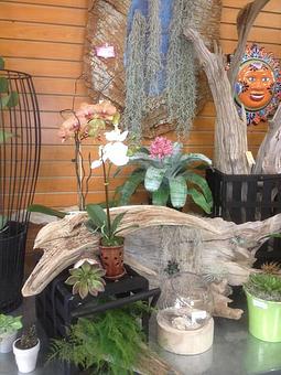 Interior - The Garden Trug in Tulsa, OK Nurseries & Garden Centers