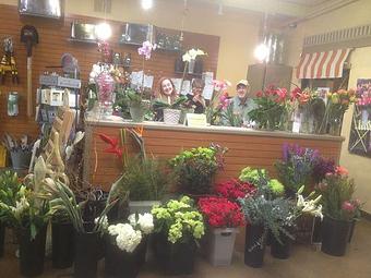 Interior - The Garden Trug in Tulsa, OK Nurseries & Garden Centers