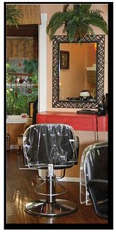 Interior - The Hair Jungle in Largo, FL Beauty Salons