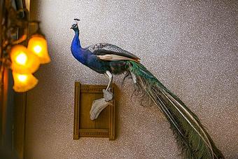 Interior - The Office Spiritorium - The Office in Durango, CO American Restaurants