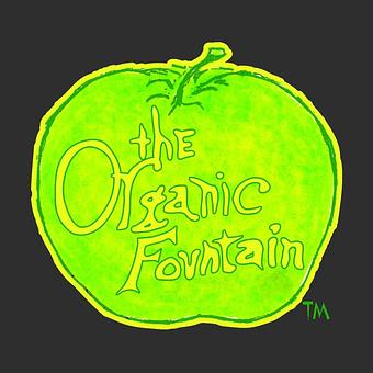 Interior - The Organic Fountain in Vero Beach, FL Vegetarian Restaurants