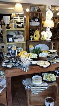 Interior - The Weed Patch in Mill Creek, WA Shopping & Shopping Services