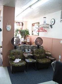 Interior - Tips Toes & Do's Salon in Blasdell, NY Nail Salons
