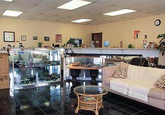 Interior - Total Pet Care in Inglewood, CA Pet Boarding & Grooming