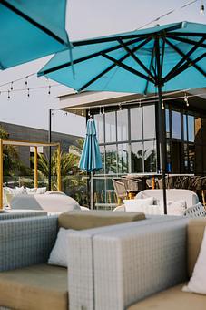 Interior - Treehouse on PCH in Huntington Beach, CA Bars & Grills