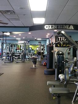 Interior - TruFitness Milton in Milton, GA Sports & Recreational Services