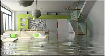 Interior - US Mold in Jupiter, FL Business Services