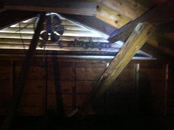 Interior - Verminators Wildlife Evictions in Brookwood High School - Snellville, GA Business Services