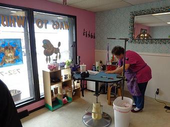 Interior - Wags To Whiskers Salon in Republic, MO Pet Boarding & Grooming