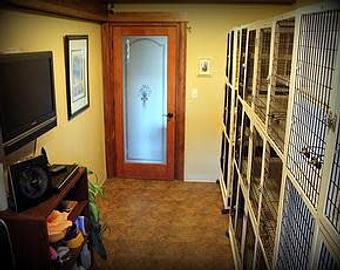 Interior - Waldorf Kennels in Ridgefield, WA Pet Boarding & Grooming