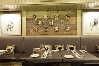 Interior - White Dog Cafe University City in University City - PHILADELPHIA, PA American Restaurants