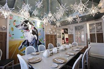 Interior - White Dog Cafe University City in University City - PHILADELPHIA, PA American Restaurants