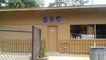 Interior - Woodlands Doggie Village in Timber Ridge/Timber Lakes - Spring, TX City & County Government