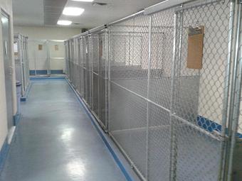 Interior - Woof House Kennel in Sheffield Village, OH Pet Boarding & Grooming