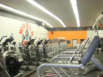 Interior: Stairmasters and Bikes - World Gym Fitness Center in Tracy, CA Health Clubs & Gymnasiums