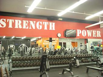 Interior: Free Weight Area - World Gym Fitness Center in Tracy, CA Health Clubs & Gymnasiums