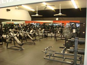 Interior: Hammer Strength Room - World Gym Fitness Center in Tracy, CA Health Clubs & Gymnasiums