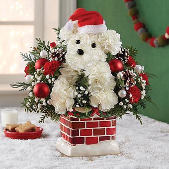 Product - 1800Flowers Tampa in CLEARWATER, FL Shopping & Shopping Services