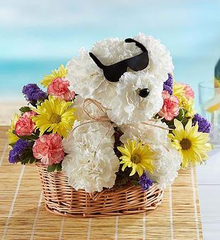 Product - 1800Flowers Tampa in CLEARWATER, FL Shopping & Shopping Services