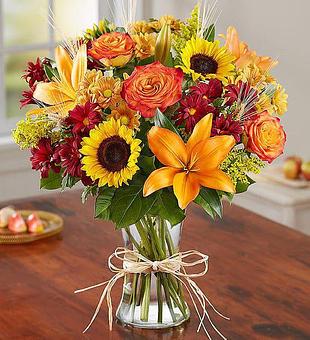 Product - 1800Flowers Tampa in CLEARWATER, FL Shopping & Shopping Services