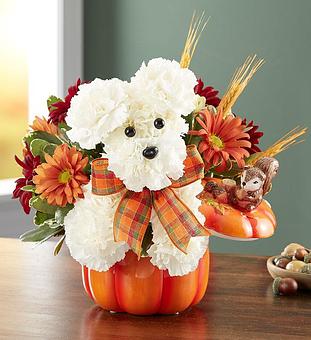 Product - 1800Flowers Tampa in CLEARWATER, FL Shopping & Shopping Services