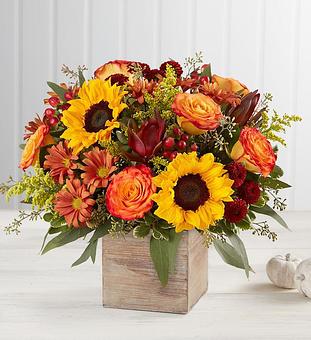 Product - 1800Flowers Tampa in CLEARWATER, FL Shopping & Shopping Services