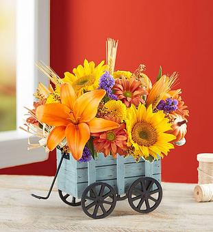 Product - 1800Flowers Tampa in CLEARWATER, FL Shopping & Shopping Services