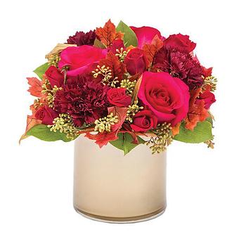 Product - 1-800-Flowers / Conroy's Newport Beach in Newport Beach, CA Shopping & Shopping Services