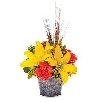 Product - 1-800-Flowers - Rose Cart P DNC in SUNNYVALE, CA Florists