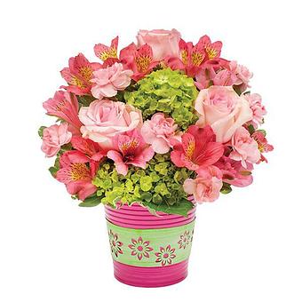 Product - 1-800-Flowers - Rose Cart P DNC in SUNNYVALE, CA Florists