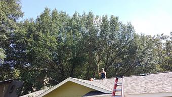 Product: Roof Top Action - 1-Two-Tree Trimming in San Antonio, TX Ornamental Nursery Services