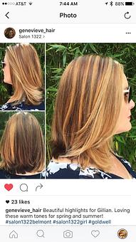 Product: Half head lightened fading off to natural in the back - 1322 in Belmont, CA Day Spas