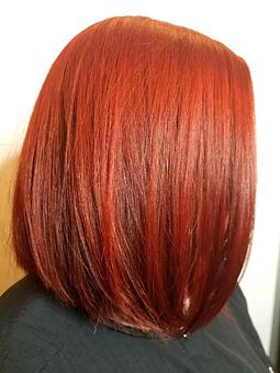Product: One all over color applied roots to ends - 1322 in Belmont, CA Day Spas