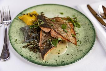 Product - 221 South Oak in Telluride, CO Restaurants/Food & Dining