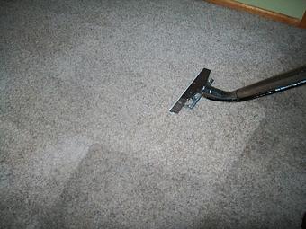 Product - A Greener World Carpet & Upholstery Cleaning - Carpet & Upholstery Cleaning in Somerset, WI Carpet Rug & Upholstery Cleaners