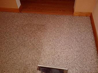 Product - A Greener World Carpet & Upholstery Cleaning - Carpet & Upholstery Cleaning in Somerset, WI Carpet Rug & Upholstery Cleaners