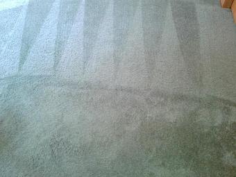 Product - A Greener World Carpet & Upholstery Cleaning - Carpet & Upholstery Cleaning in Somerset, WI Carpet Rug & Upholstery Cleaners