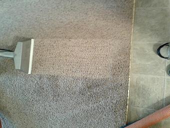 Product - A Greener World Carpet & Upholstery Cleaning - Carpet & Upholstery Cleaning in Somerset, WI Carpet Rug & Upholstery Cleaners