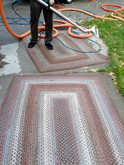 Product - A Greener World Carpet & Upholstery Cleaning - Carpet & Upholstery Cleaning in Somerset, WI Carpet Rug & Upholstery Cleaners