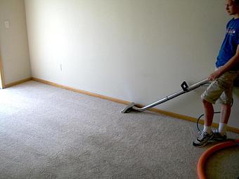 Product - A Greener World Carpet & Upholstery Cleaning - Carpet & Upholstery Cleaning in Somerset, WI Carpet Rug & Upholstery Cleaners