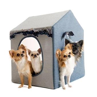 Product - A Pet's World Pet Sitting in Loomis, CA Pet Care Services