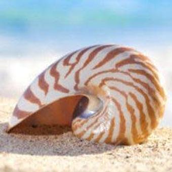 Product - A Silent Moment in Long Beach, CA Day Spas