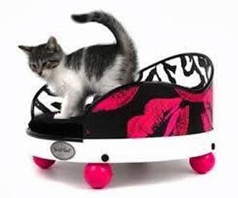 Product - A Touch of Class Pet Grooming, in downtown South Cape Coral - Cape Coral, FL Pet Boarding & Grooming