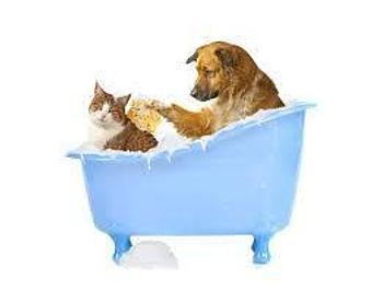 Product - A Touch of Class Pet Grooming, in downtown South Cape Coral - Cape Coral, FL Pet Boarding & Grooming